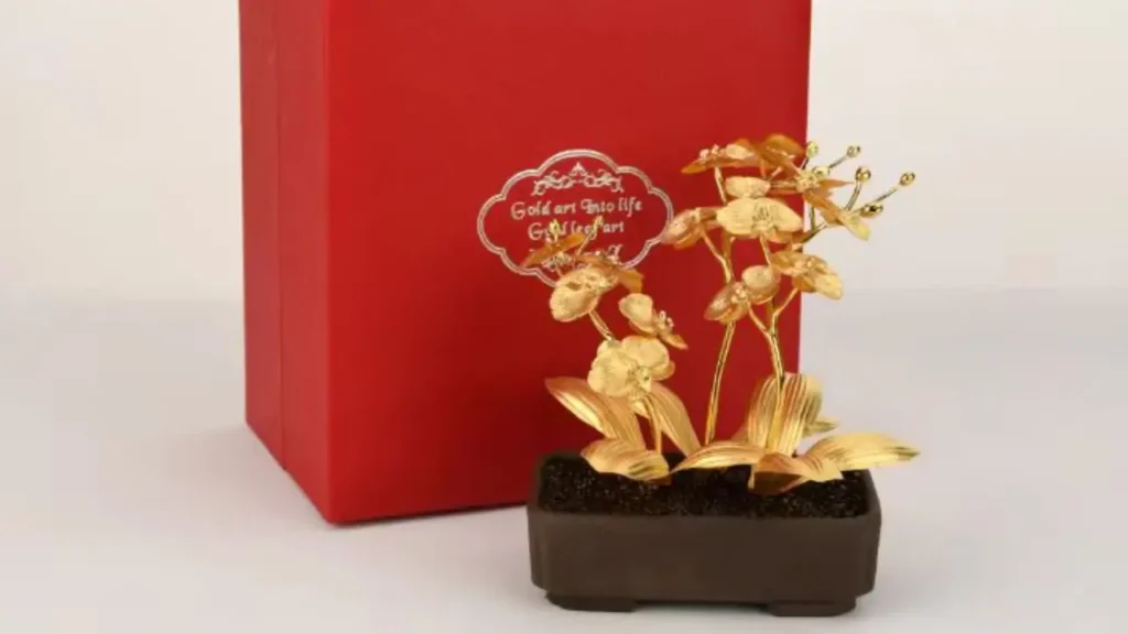 Round Phalaenopsis (Moth Orchid) in Arc Ceramic Pot 